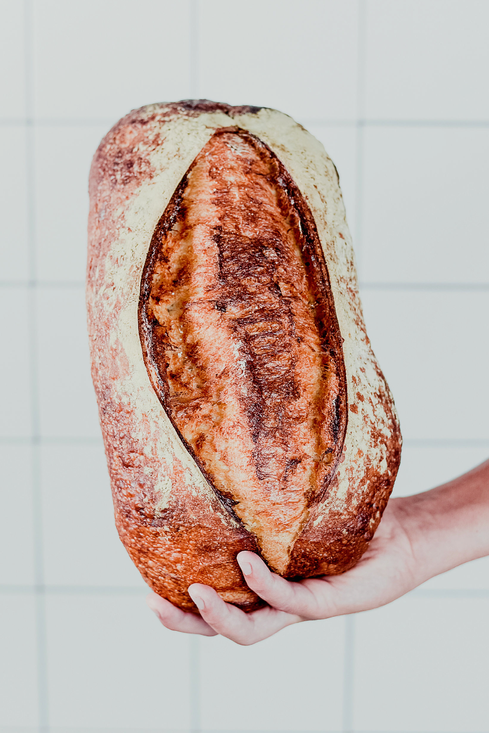 Pan de campo